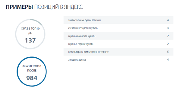 Продвижение интернет-магазина товаров для дома